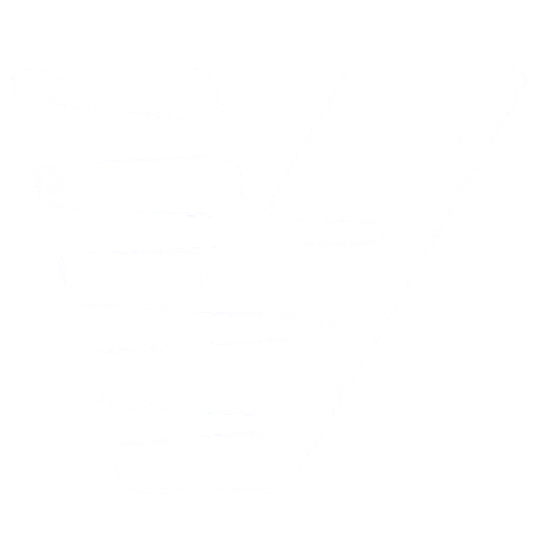 Velo Intelligence logo